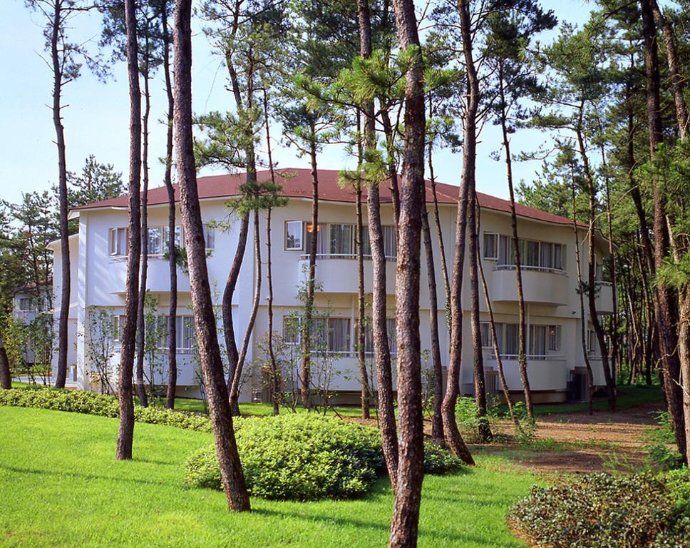 Cottage Himuka Miyazaki Bilik gambar